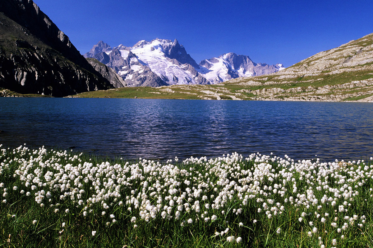 Lac Goleon au Oisans-Massif et La Meije Hautes-Alpes
