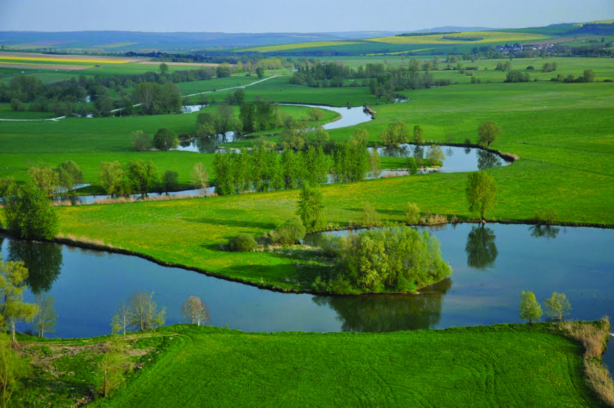 Le fleuve La Meuse