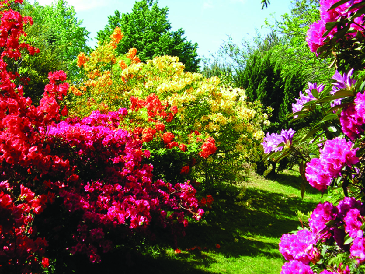 Le Jardin de Lostanges