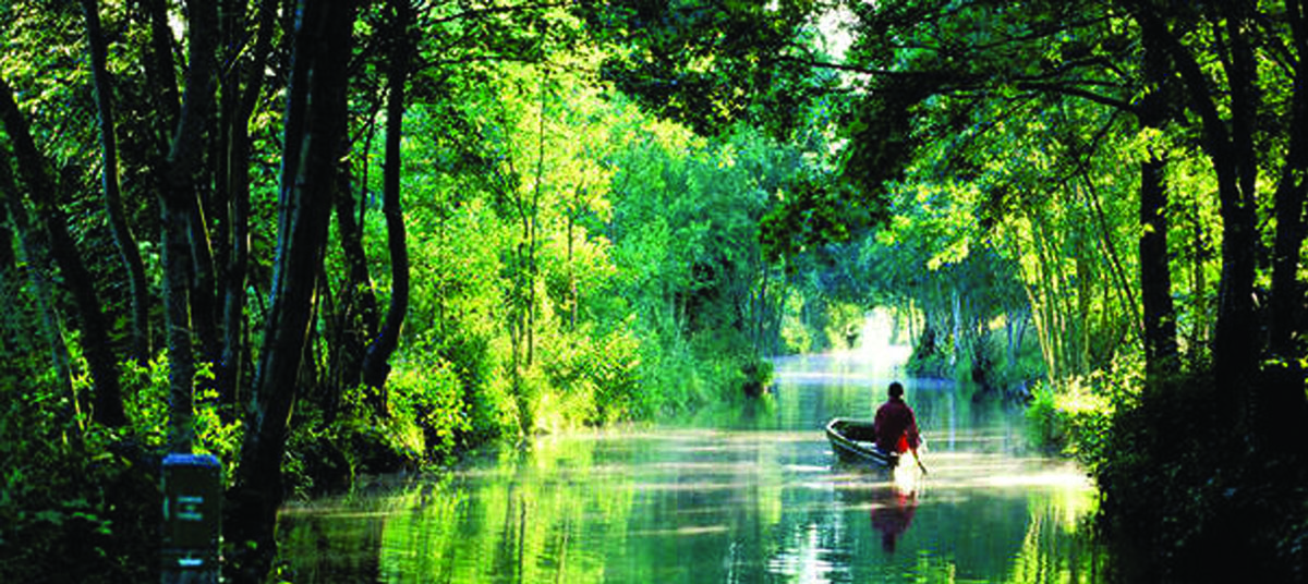 Le Marais Poitevin (La Venise Verte)