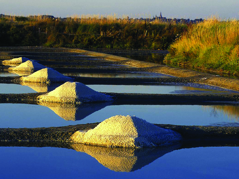 Marais Salants de Guerande