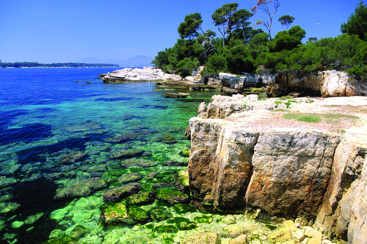 Paysage du Cap dAntibes