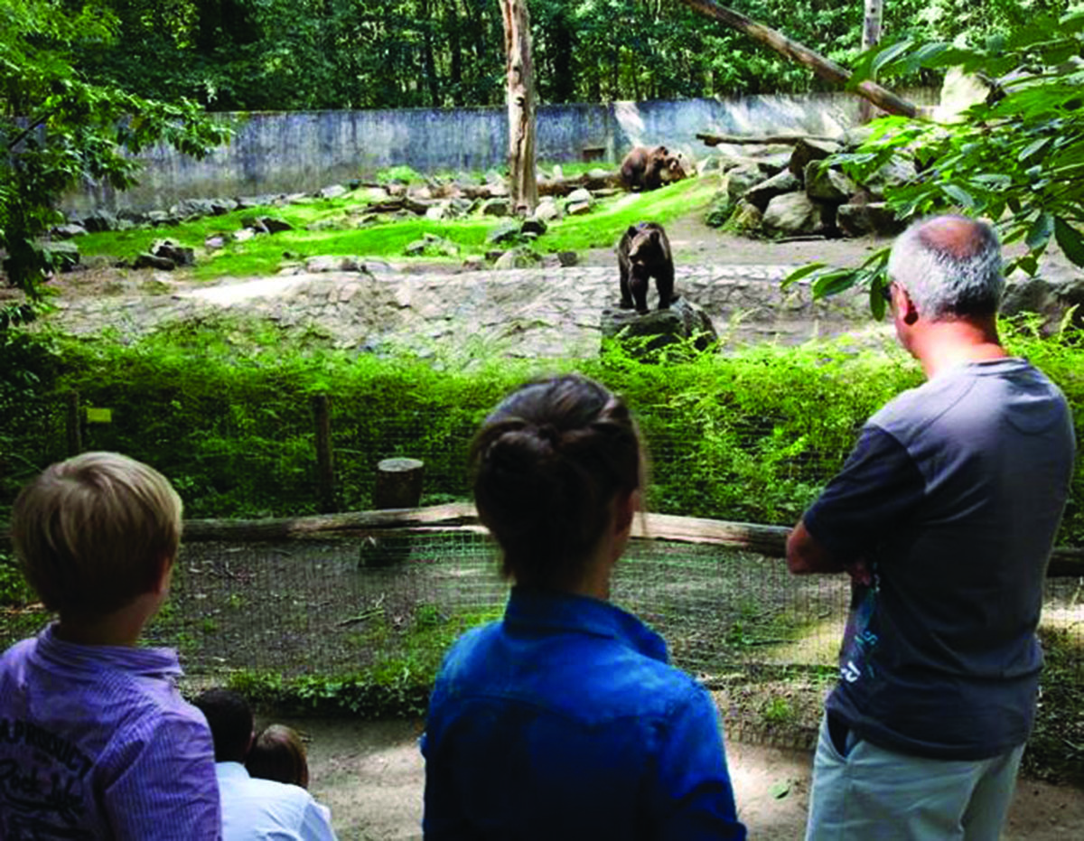 Zoo de Pescheray  Le Breil sur Merize