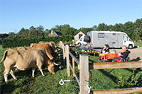 Stationner dans Ferme